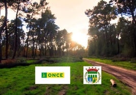 Los pinares de Talayuela, protagonistas del cupón de la ONCE del día 28