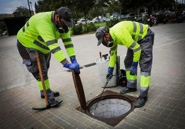 Se llevan a cabo tareas de saneamiento en Barquilla de Pinares y Santa María de las Lomas