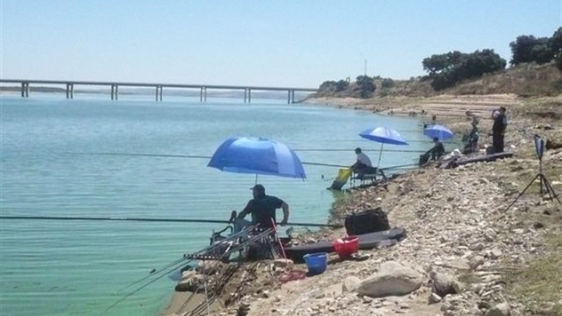 Las actividades de pesca avanzan las fiestas