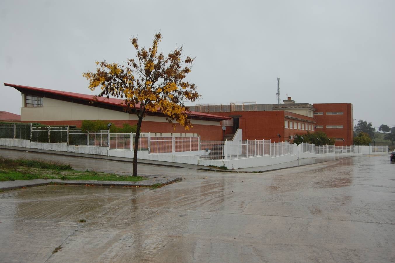 El IES San Martín participa en el segundo encuentro “School in Movement”