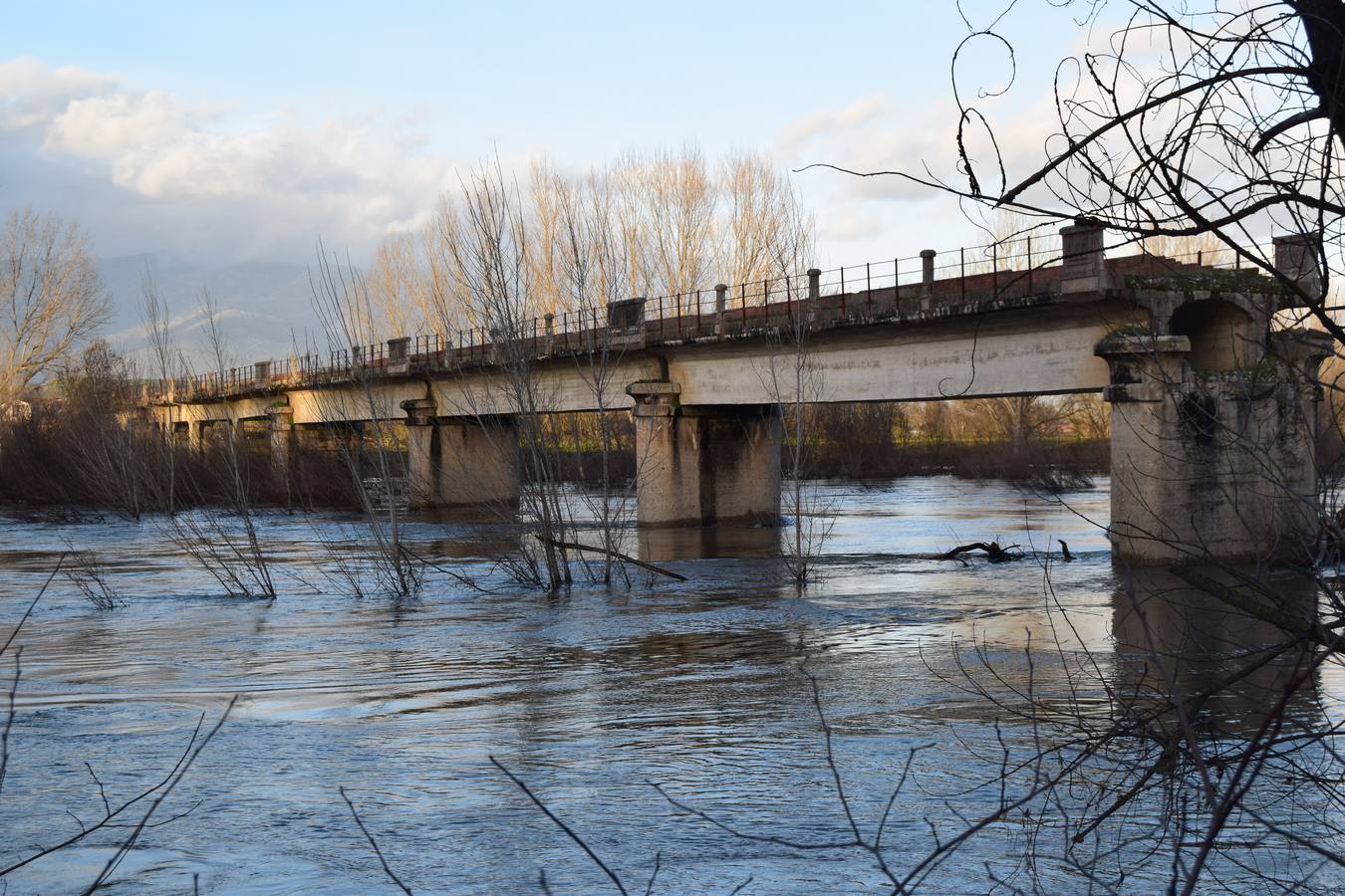 Imagen del río Tiétar en las últimas horas 