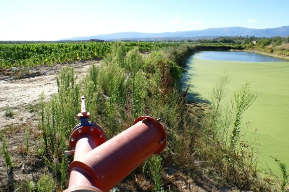 Balsa de agua, junto a una plantación tabaquera de Rosarito. 