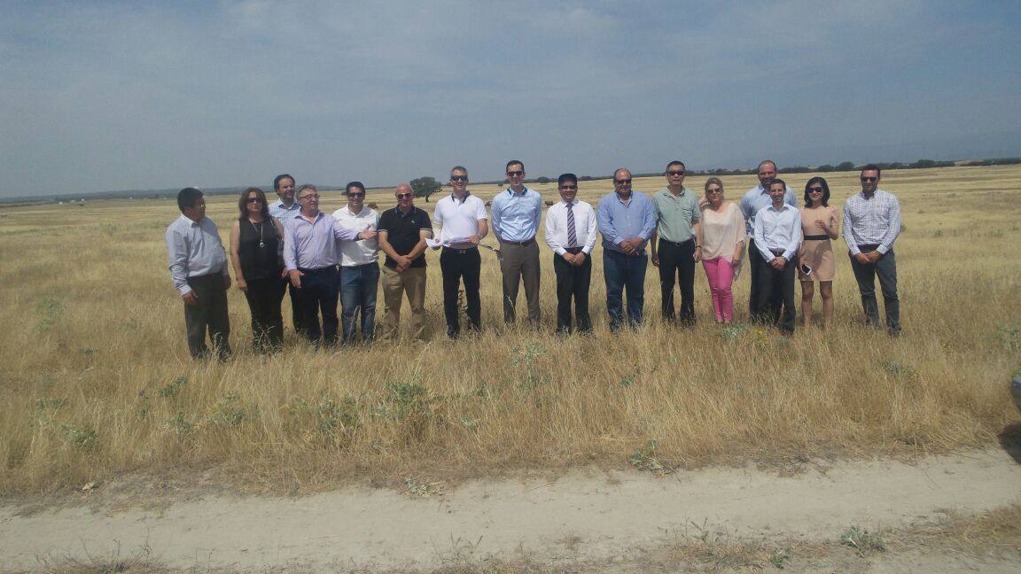 Imagen sobre el terreno que tiene previsto contruirse el Proyecto Talayuela Solar 