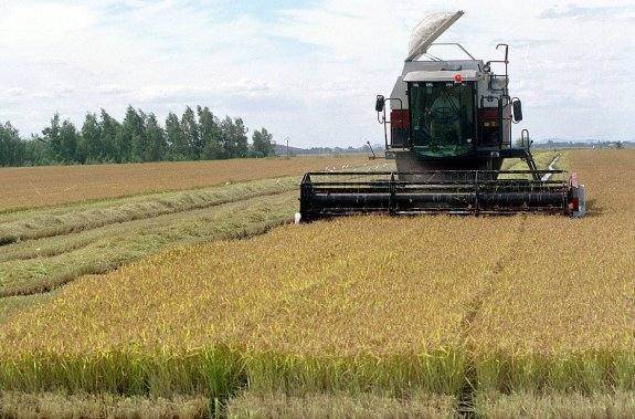 Una cosechadora durante el proceso de recolecta