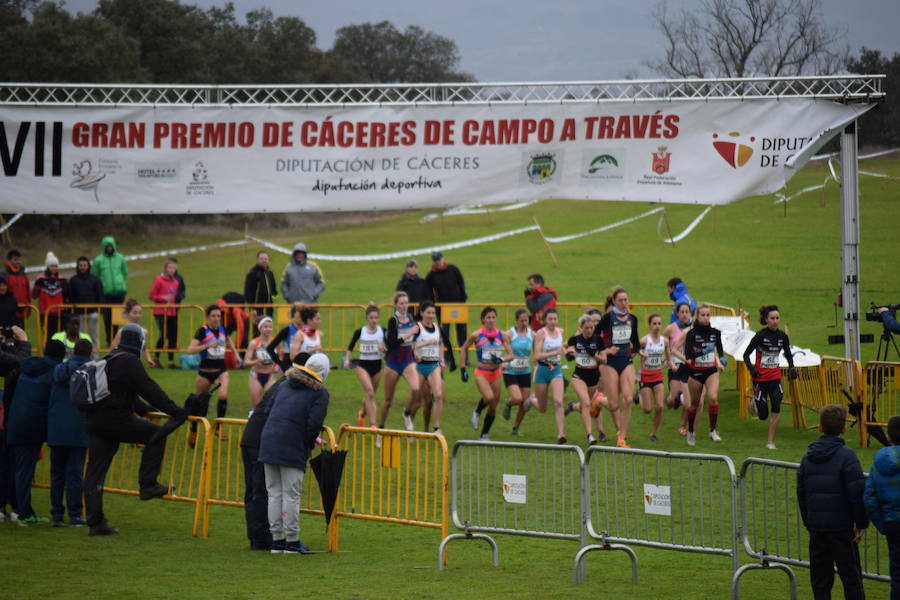 El Gran Premio de Cáceres, 7º de España