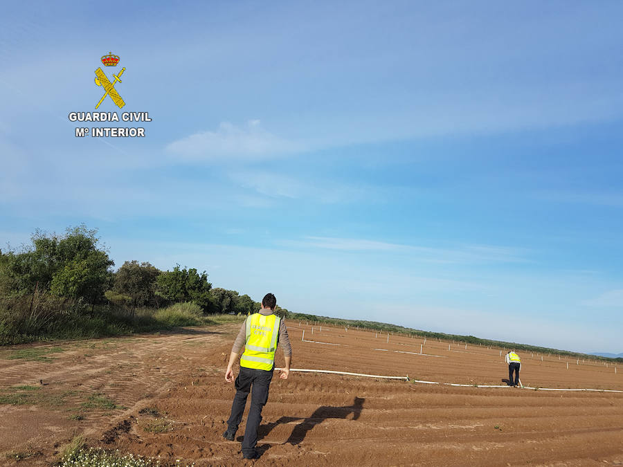 La Guardia Civil detiene a una persona por delitos contra el patrimonio en explotaciones agrícolas en Talayuela y Tiétar