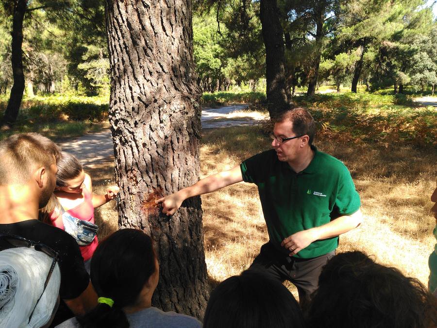 La Escuela Profesional La Dehesa acoge unas jornadas sobre resinación