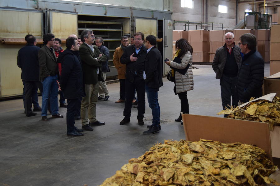 Los tabaqueros piden contratos plurianuales y precios dignos