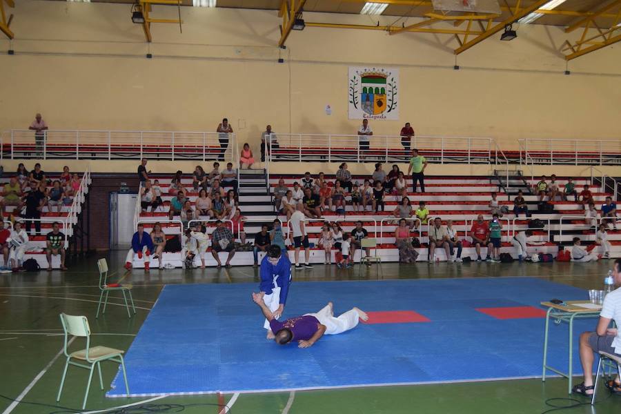 Campeonato de Promoción de Otoño de kata y kumité