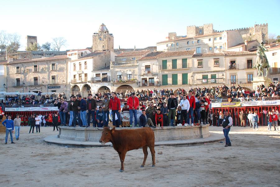 Festejo taurino en la plaza Mayor celebrado el año pasado 