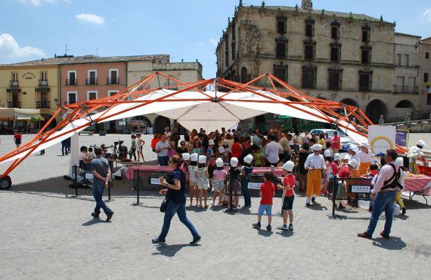 Jornada de puertas abiertas celebrada en la plaza Mayor / 