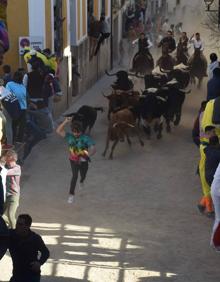 Imagen secundaria 2 - Cientos de personas se echan a la calle para disfrutar de los festejos taurinos