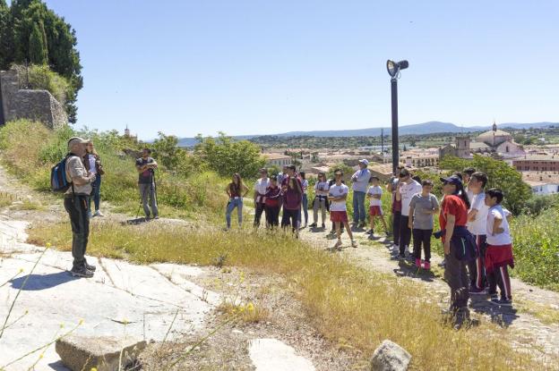 El Festival del Mical contará con una charla sobre la construcción y el primilla
