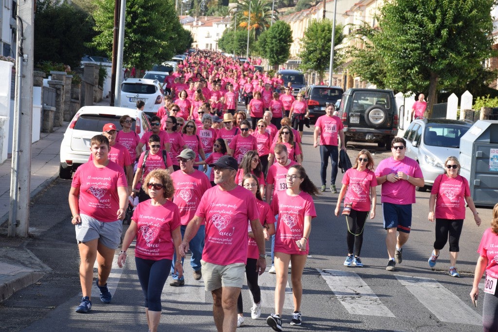 Las calles de la ciudad se tiñeron de rosa, con la celebración ayer de la multitudinaria VIII Marcha Contra el Cáncer. Reunió no solo a vecinos de Trujillo, sino también de diferentes poblaciones de la comarca e incluso, de otras zonas de Extremadura. Al final, se vendieron 3.132 dorsales, una cifra muy parecida a la del año pasado, a un precio de 5 euros. Junto a esos dorsales, se entregaron las camisetas rosas identificativas.