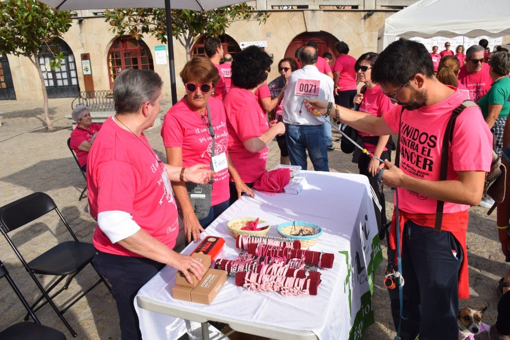 Las calles de la ciudad se tiñeron de rosa, con la celebración ayer de la multitudinaria VIII Marcha Contra el Cáncer. Reunió no solo a vecinos de Trujillo, sino también de diferentes poblaciones de la comarca e incluso, de otras zonas de Extremadura. Al final, se vendieron 3.132 dorsales, una cifra muy parecida a la del año pasado, a un precio de 5 euros. Junto a esos dorsales, se entregaron las camisetas rosas identificativas.