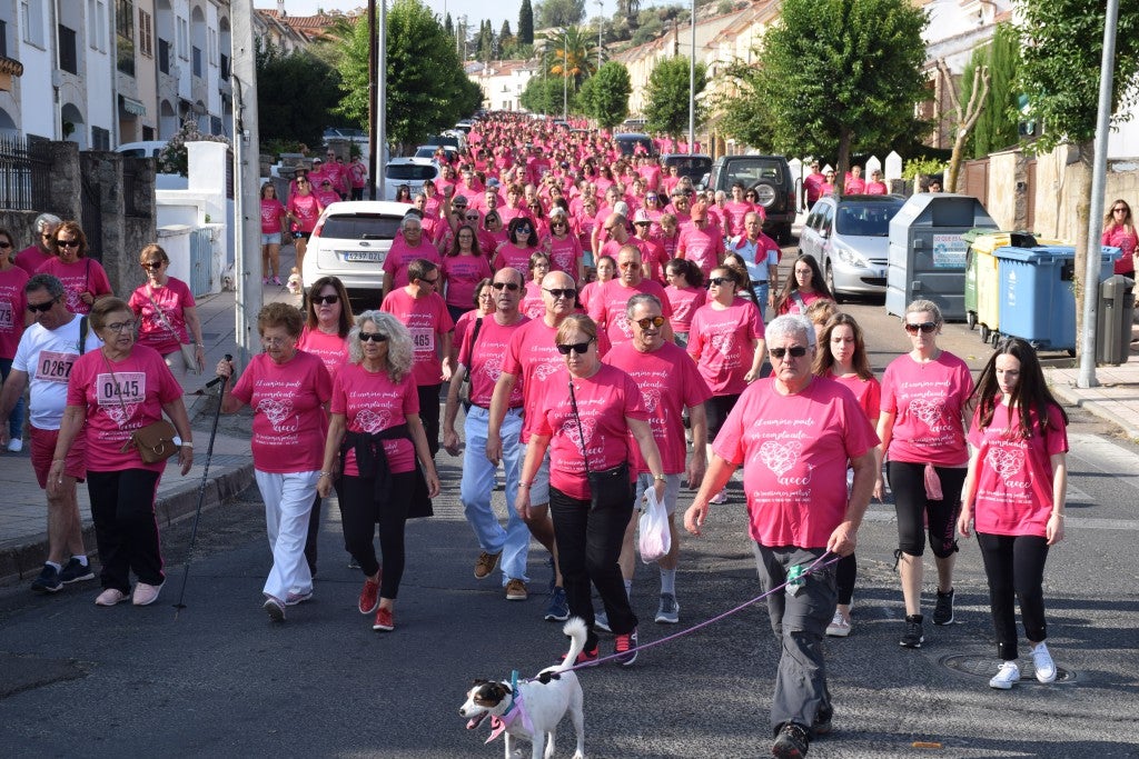 Las calles de la ciudad se tiñeron de rosa, con la celebración ayer de la multitudinaria VIII Marcha Contra el Cáncer. Reunió no solo a vecinos de Trujillo, sino también de diferentes poblaciones de la comarca e incluso, de otras zonas de Extremadura. Al final, se vendieron 3.132 dorsales, una cifra muy parecida a la del año pasado, a un precio de 5 euros. Junto a esos dorsales, se entregaron las camisetas rosas identificativas.