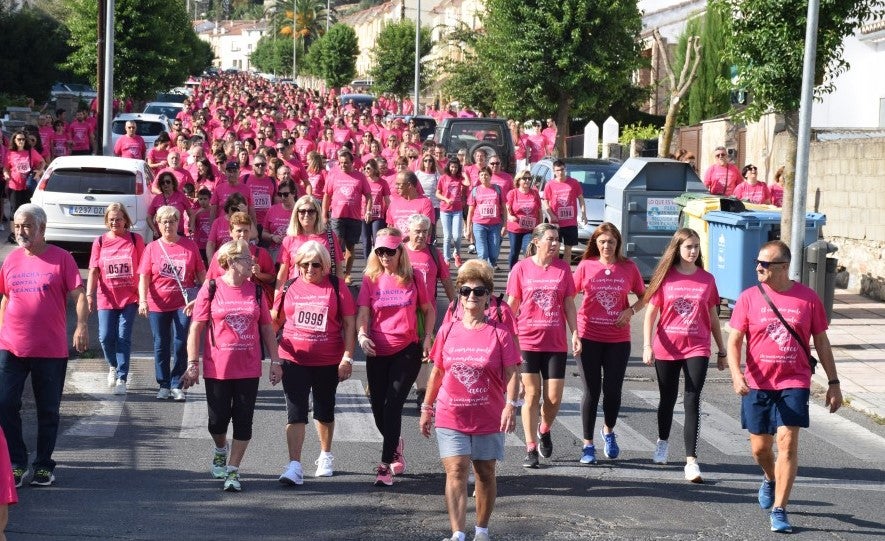 Las calles de la ciudad se tiñeron de rosa, con la celebración ayer de la multitudinaria VIII Marcha Contra el Cáncer. Reunió no solo a vecinos de Trujillo, sino también de diferentes poblaciones de la comarca e incluso, de otras zonas de Extremadura. Al final, se vendieron 3.132 dorsales, una cifra muy parecida a la del año pasado, a un precio de 5 euros. Junto a esos dorsales, se entregaron las camisetas rosas identificativas.