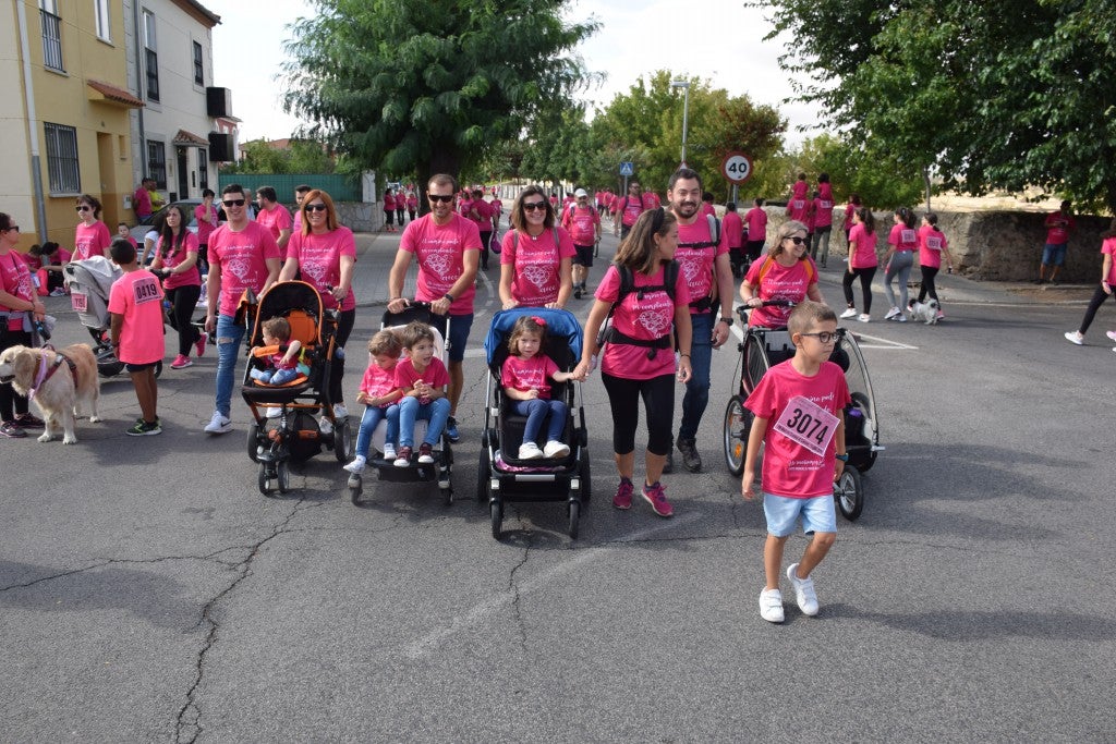 Las calles de la ciudad se tiñeron de rosa, con la celebración ayer de la multitudinaria VIII Marcha Contra el Cáncer. Reunió no solo a vecinos de Trujillo, sino también de diferentes poblaciones de la comarca e incluso, de otras zonas de Extremadura. Al final, se vendieron 3.132 dorsales, una cifra muy parecida a la del año pasado, a un precio de 5 euros. Junto a esos dorsales, se entregaron las camisetas rosas identificativas.