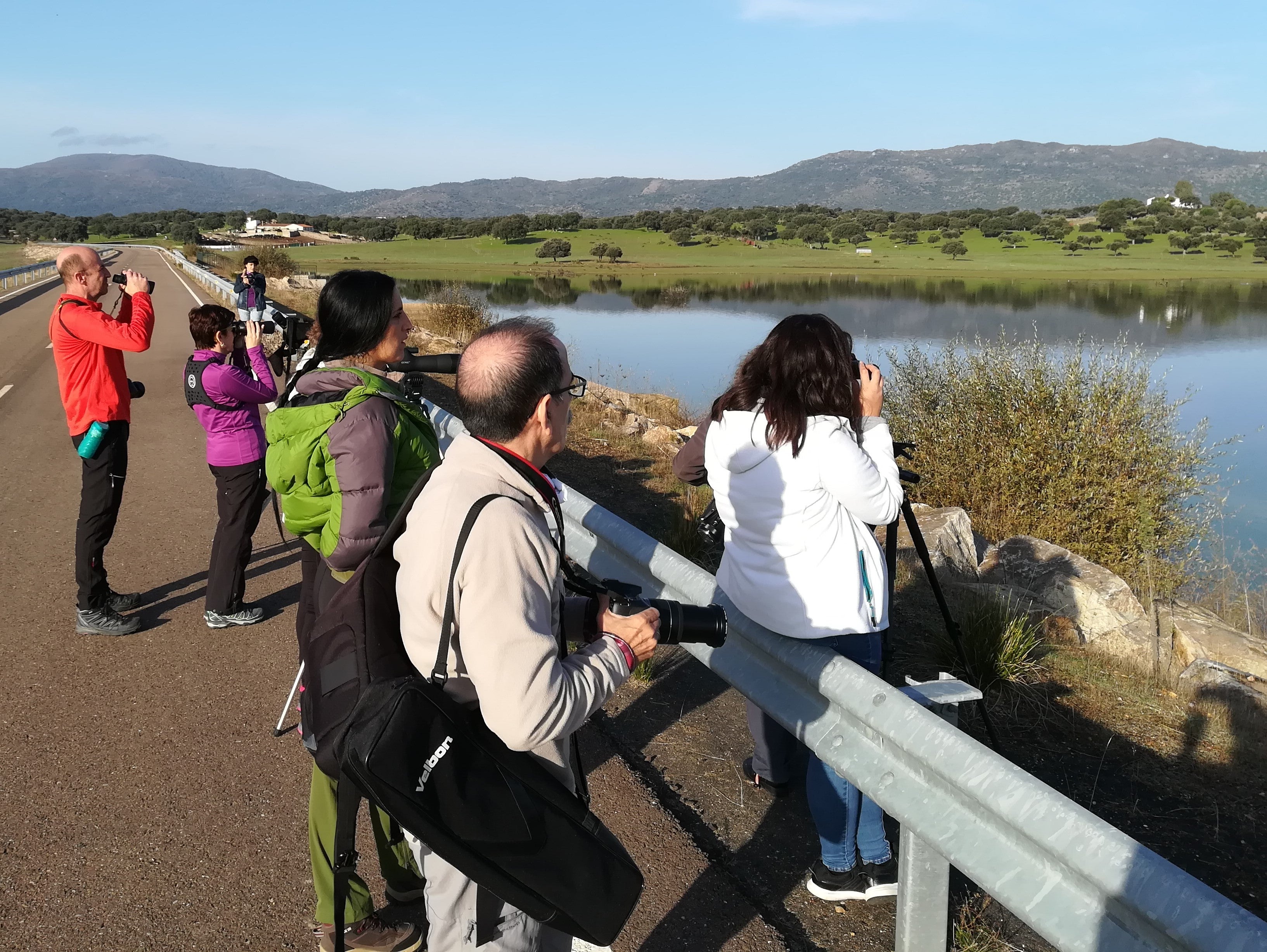 Avistamiento de aves en una actividad de Adicomt. 