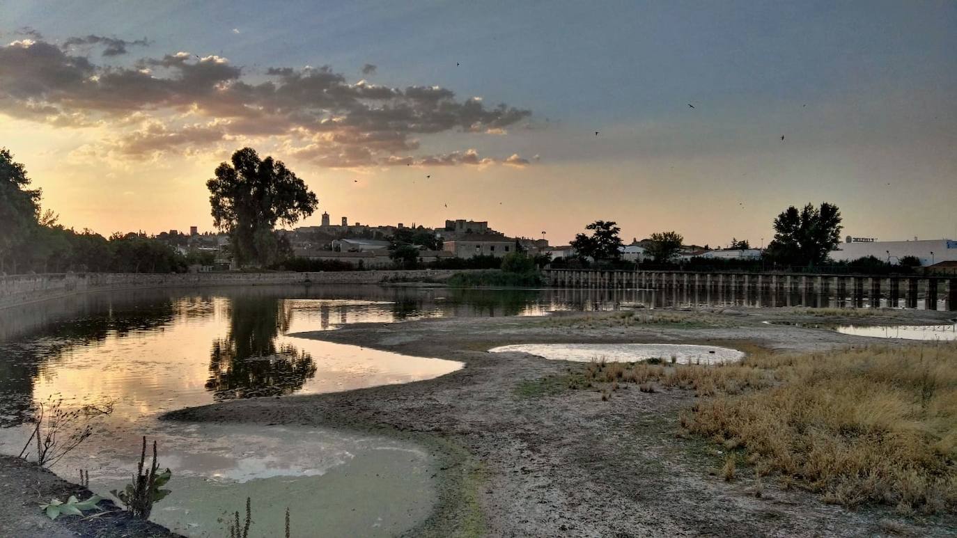 La charca de Lázaro con poca agua. 
