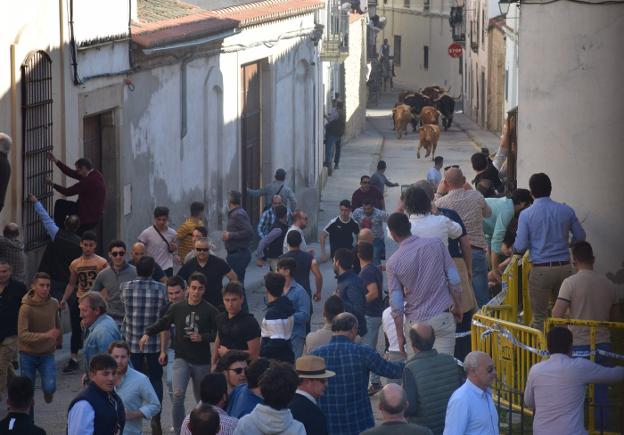 un momento de los encierros de los carnavales 