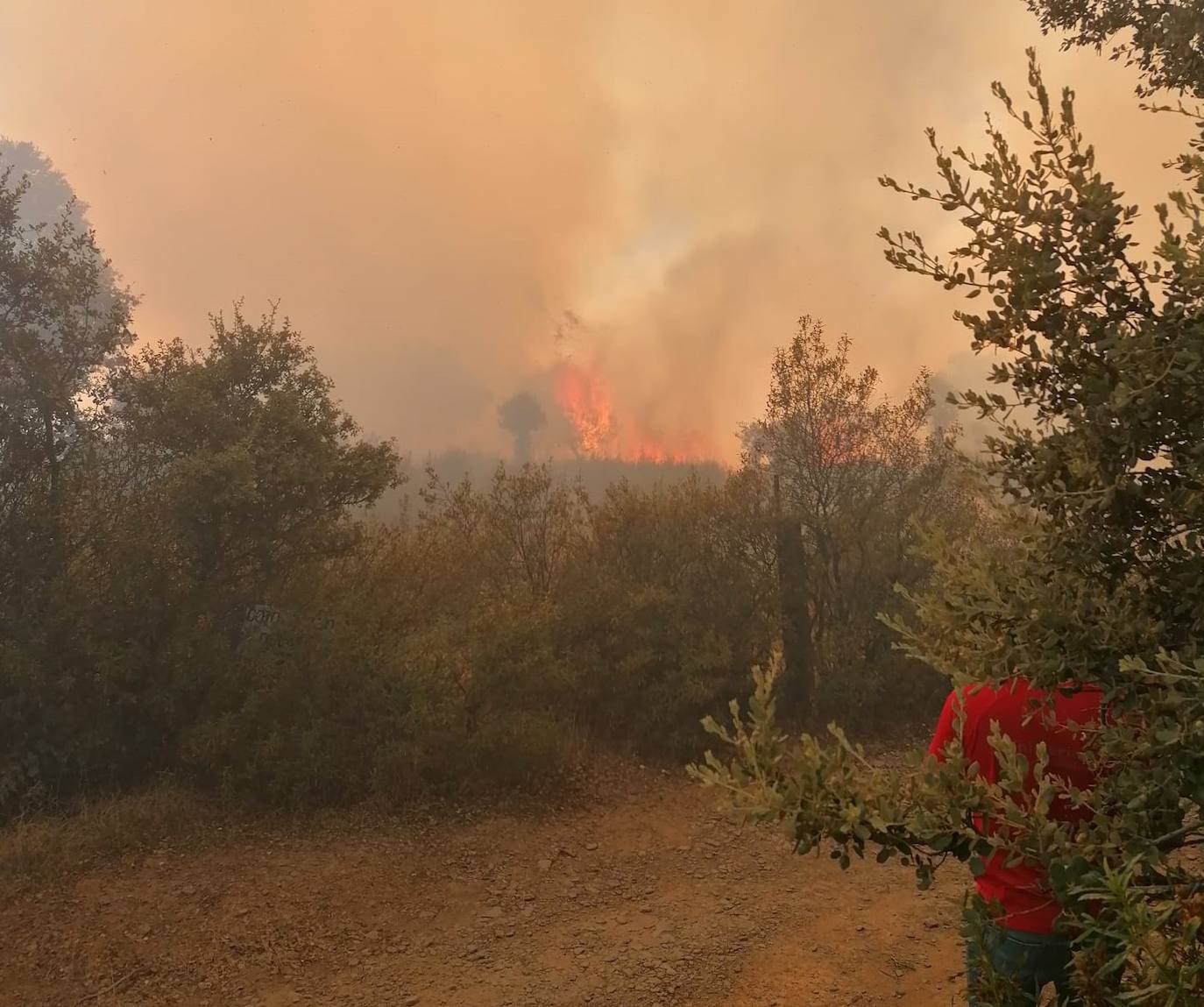 Incendio en Madroñera 