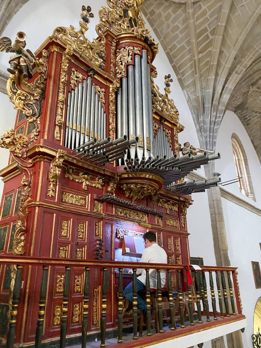 Luis Maldonado plantea visitas didácticas a los órganos de San Martín y San Francisco