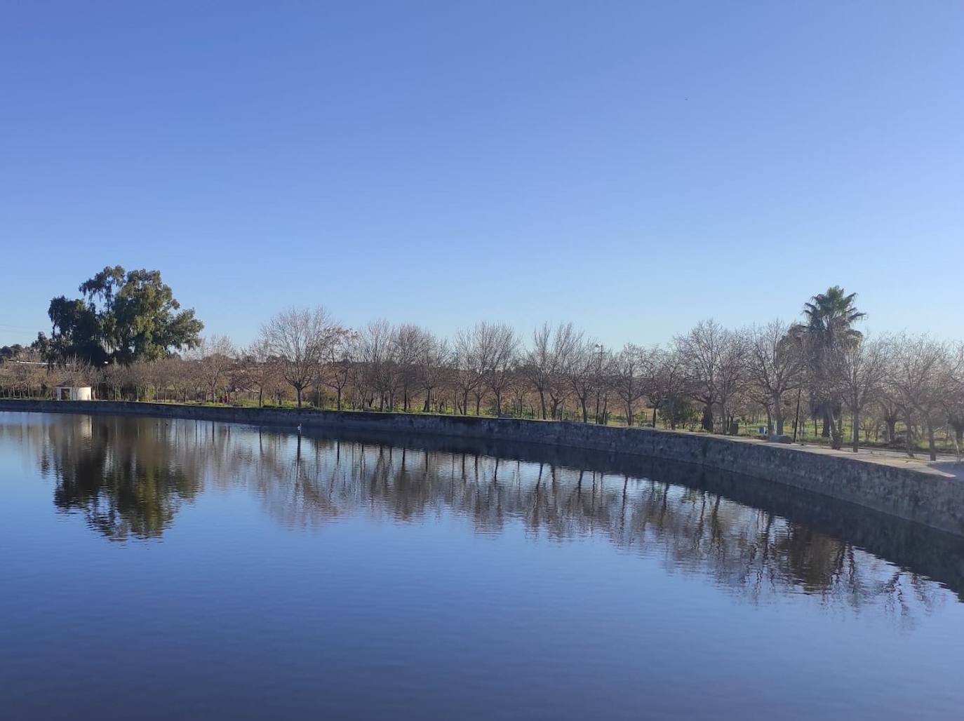 Preocupación por el muro de la charca del parque de San Lázaro