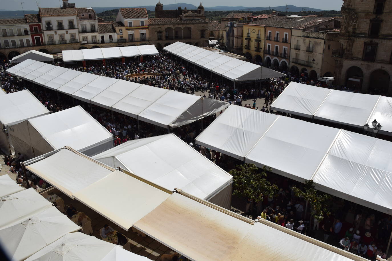 Fotos: Premiados en la Feria del Queso de Trujillo 2022