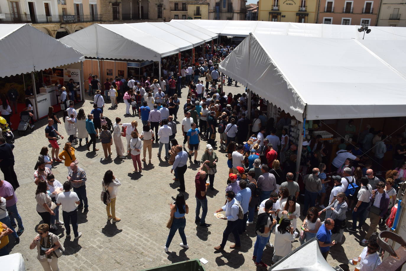 Fotos: Premiados en la Feria del Queso de Trujillo 2022