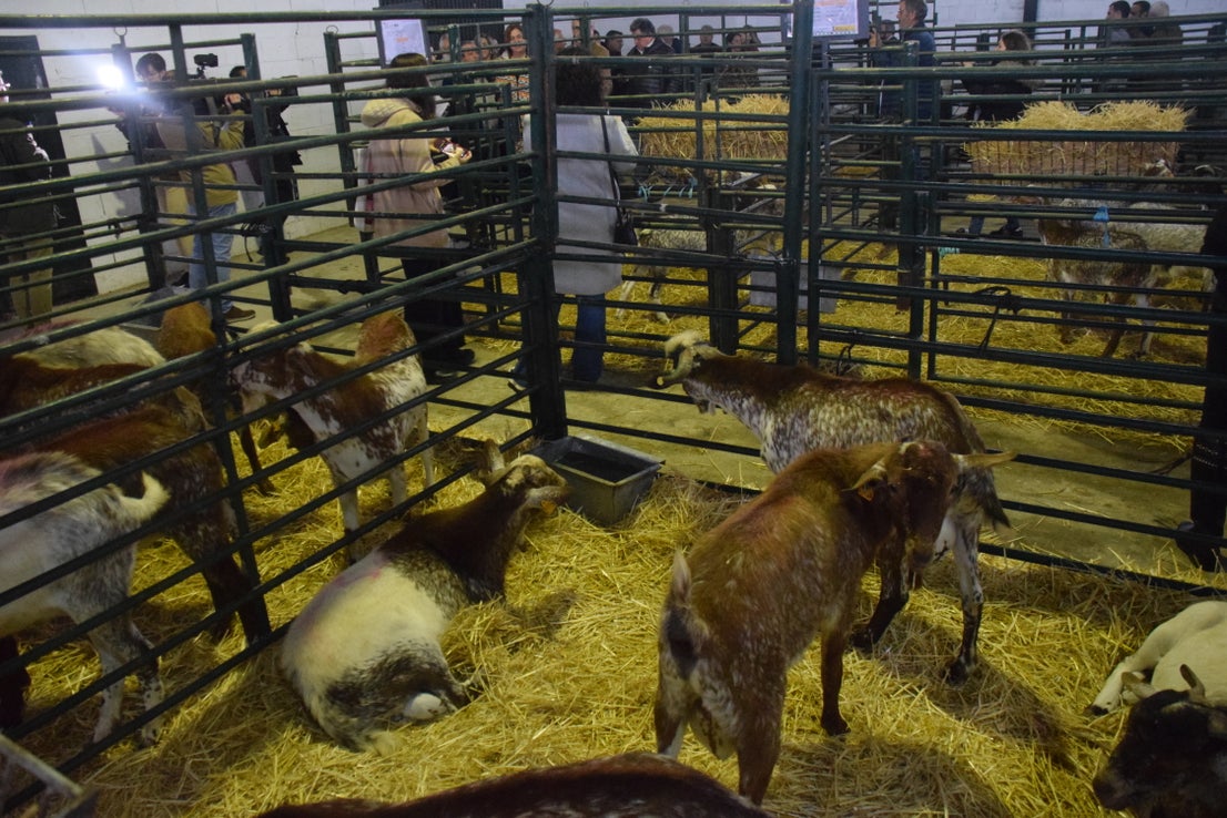 Fotos: ¿Estuviste en la Feria Agroganadera?