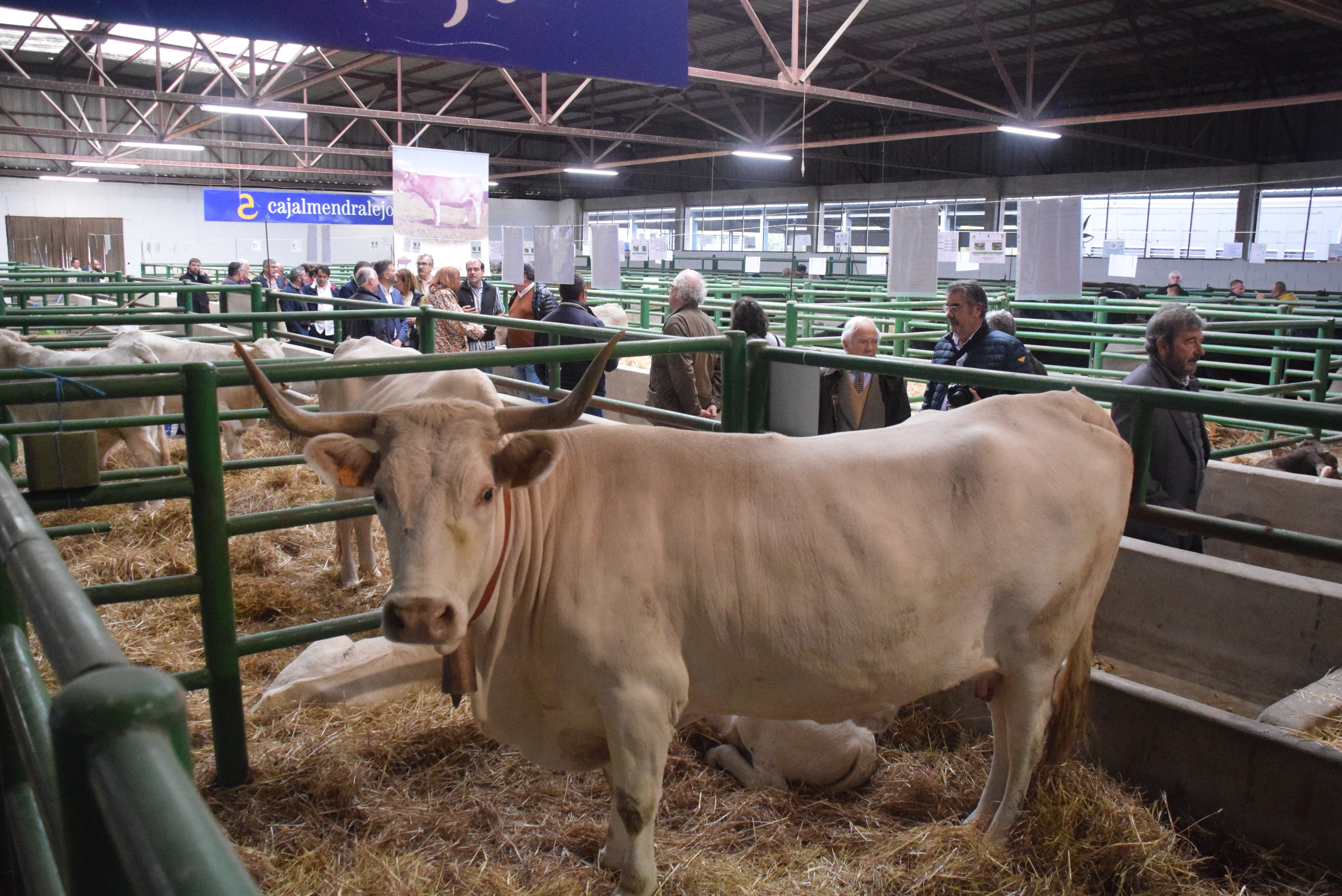 Fotos: ¿Estuviste en la Feria Agroganadera?