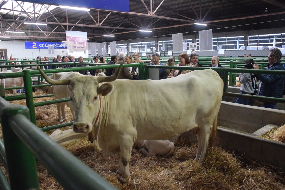 Fotos: ¿Estuviste en la Feria Agroganadera?