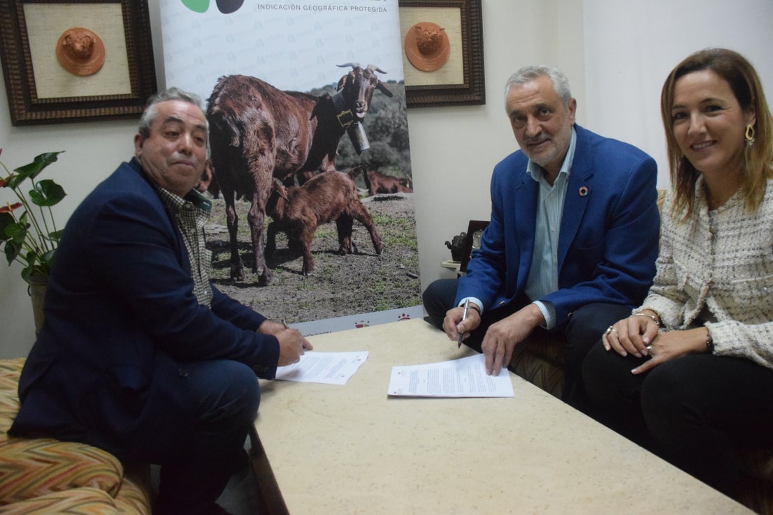 Fotos: ¿Estuviste en la Feria Agroganadera?