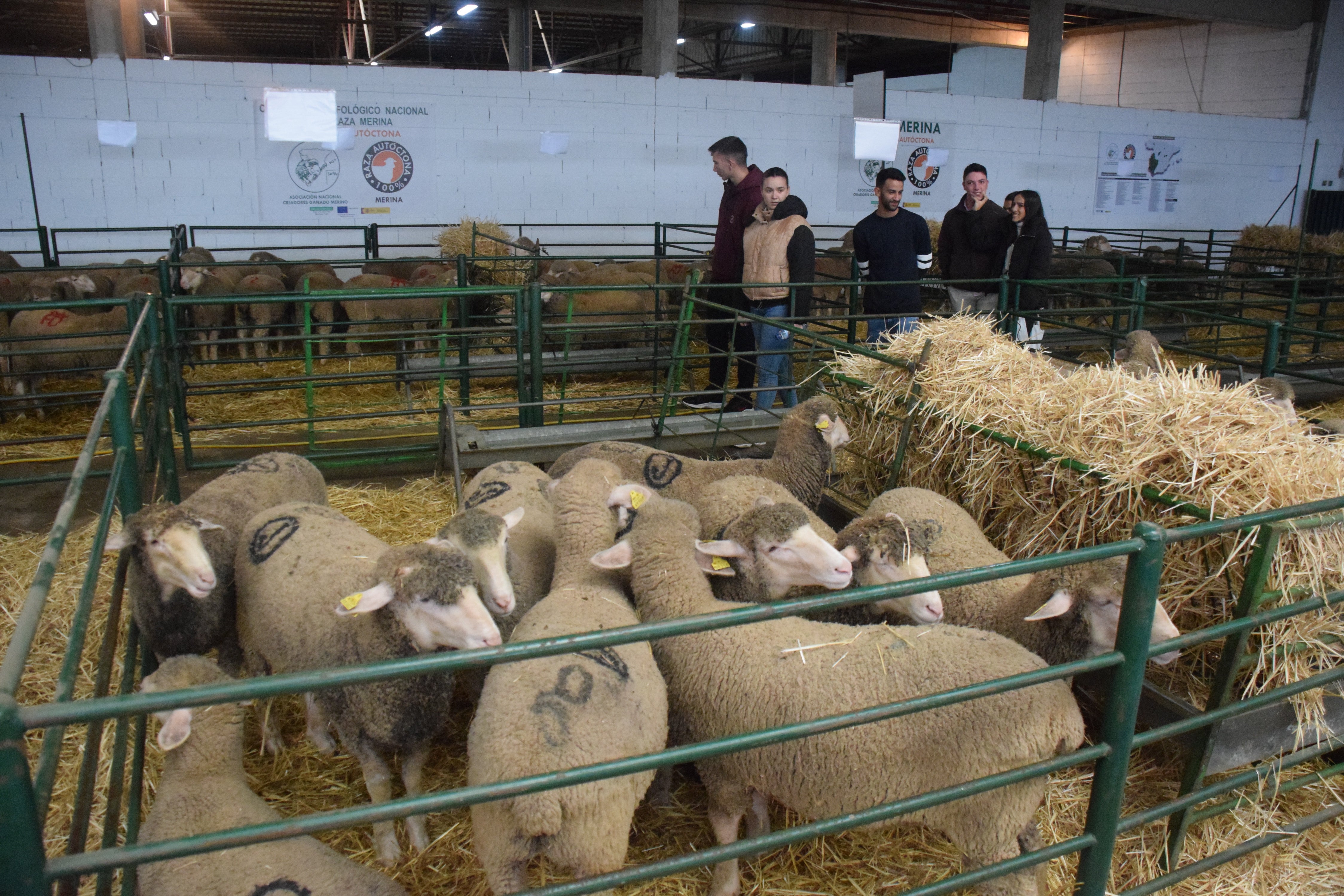 Fotos: ¿Estuviste en la Feria Agroganadera?