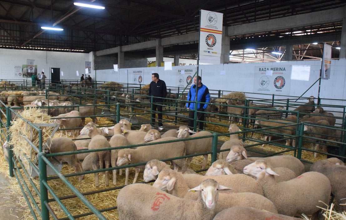 Fotos: ¿Estuviste en la Feria Agroganadera?