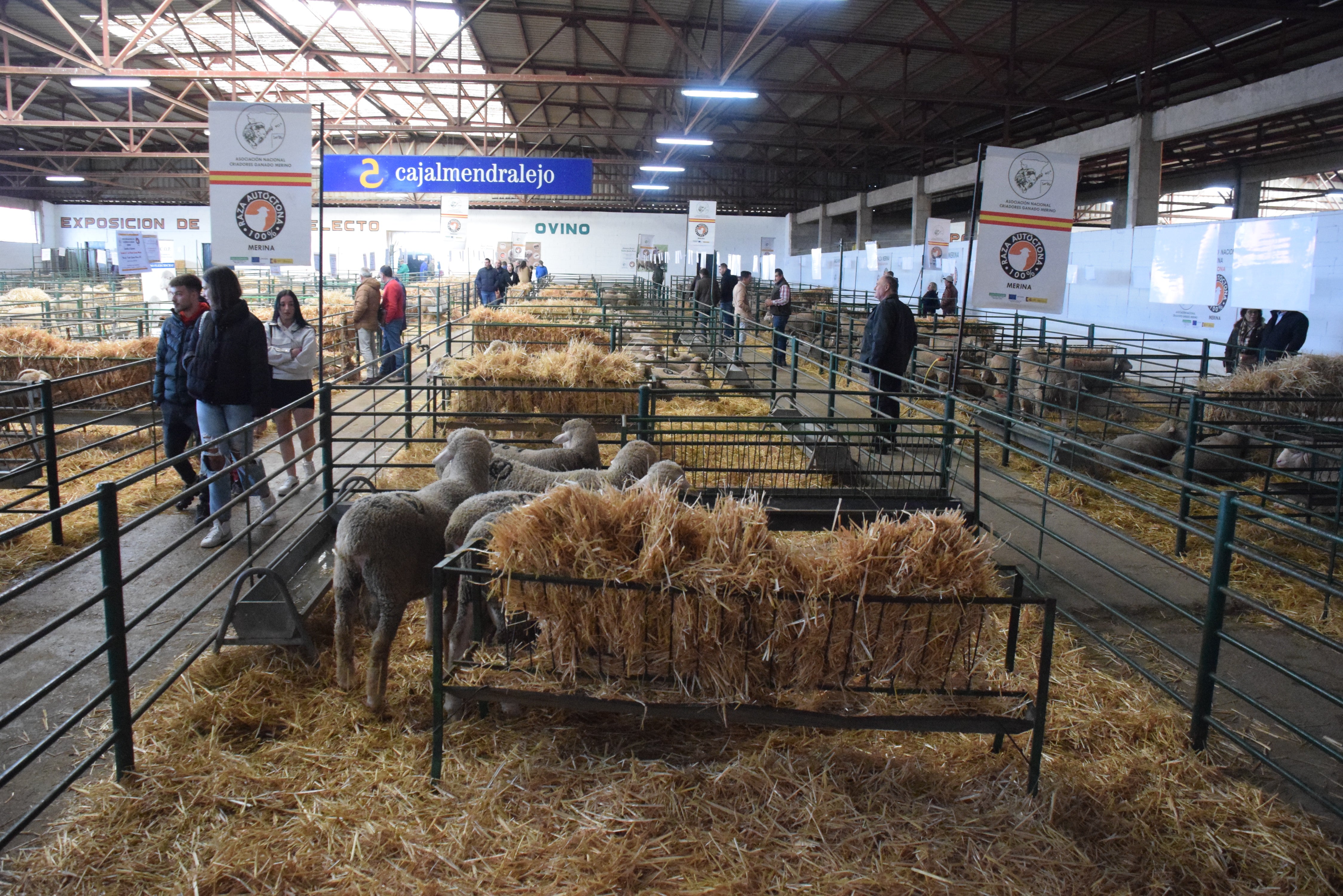 Fotos: ¿Estuviste en la Feria Agroganadera?