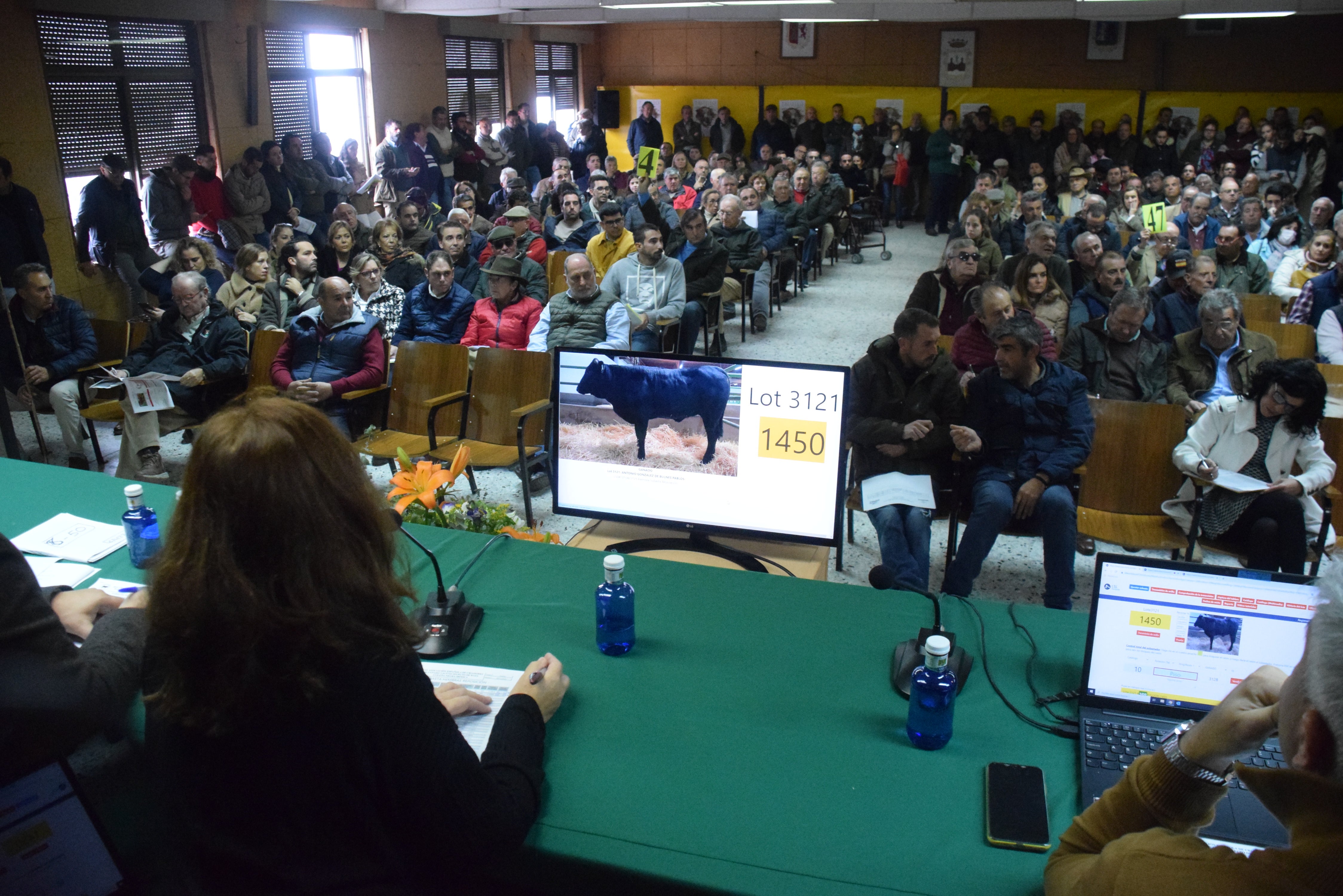 Fotos: ¿Estuviste en la Feria Agroganadera?