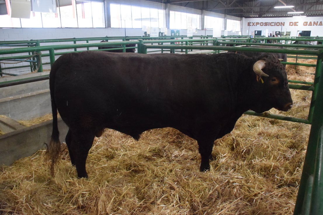 Fotos: ¿Estuviste en la Feria Agroganadera?