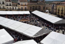 La infraestructura de la Feria del Queso, en la plaza Mayor trujillana