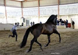 Uno de los participantes en una edición anterior.