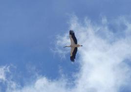 L'espoir de la Victoire