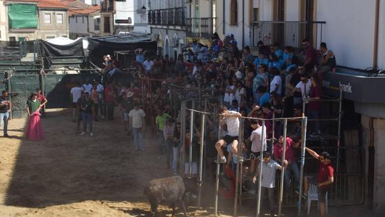 Huertas de Ánimas continúa con los festejos taurinos