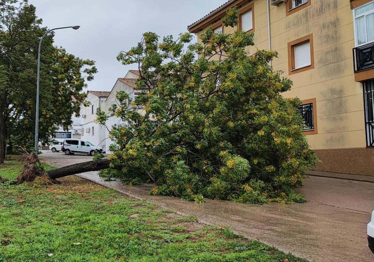 La lluvia y el viento provocan algunos incidentes