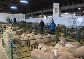 Participantes en una edición anterior.