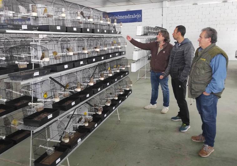 Organizadores, viendo algunos animales.