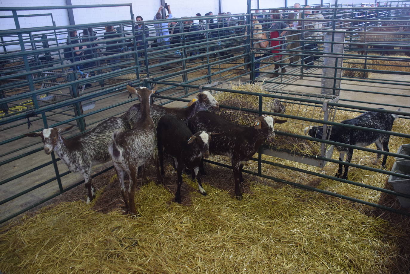 ¿Estuviste en la XXXIX edición de la Feria Agroganadera?
