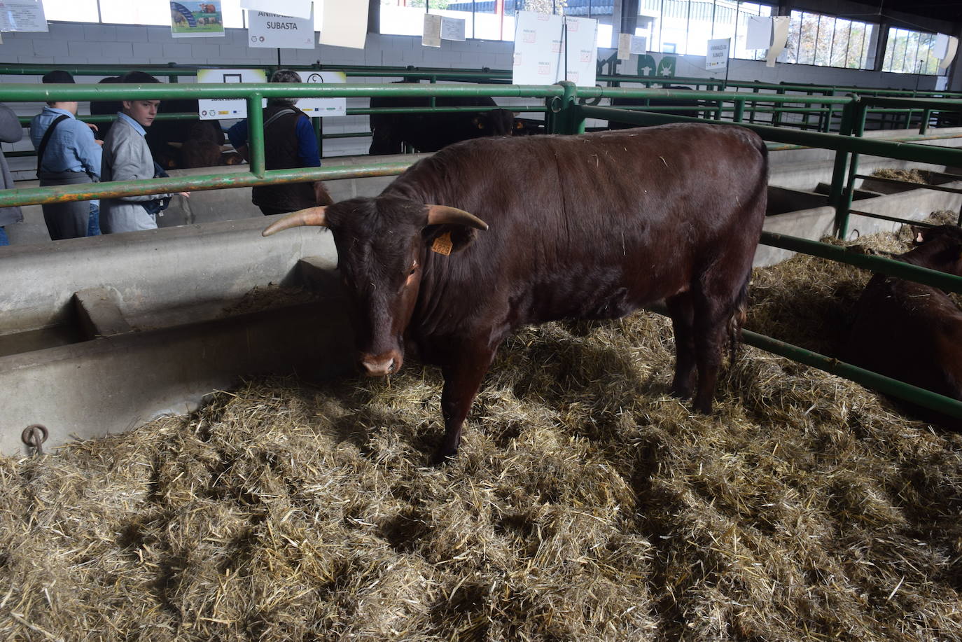 ¿Estuviste en la XXXIX edición de la Feria Agroganadera?