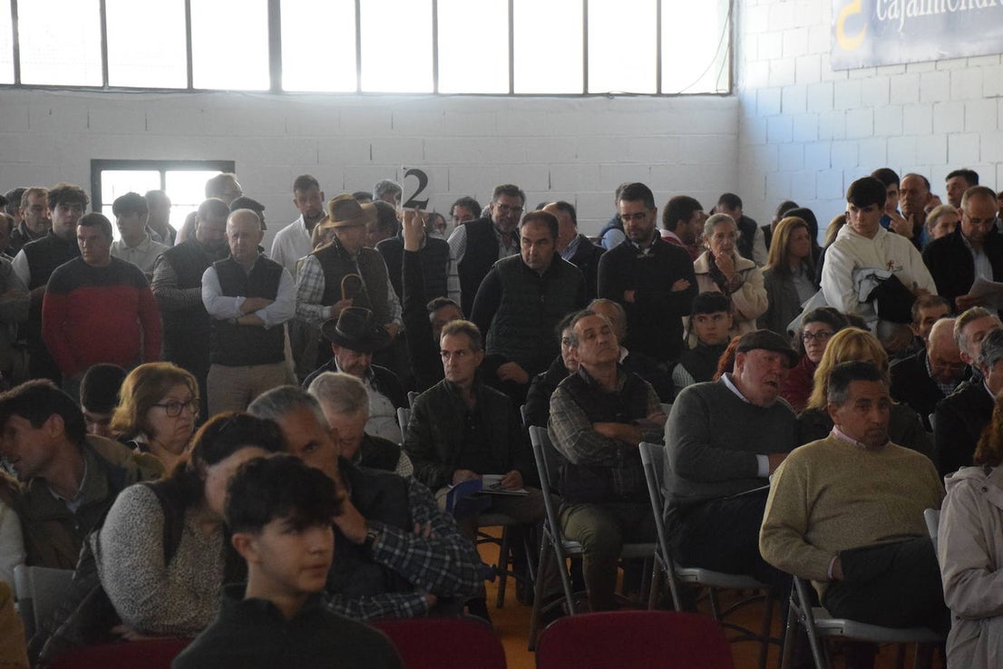 ¿Estuviste en la XXXIX edición de la Feria Agroganadera?