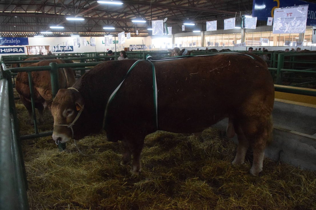 ¿Estuviste en la XXXIX edición de la Feria Agroganadera?